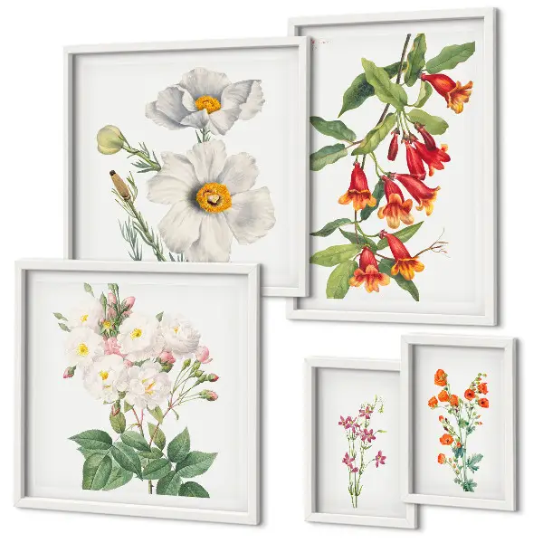 Ilustrații botanice florale set de tablouri poliptic înrămate