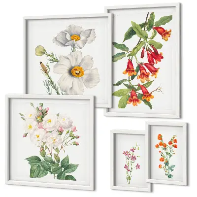 Ilustrații botanice florale set de tablouri poliptic înrămate