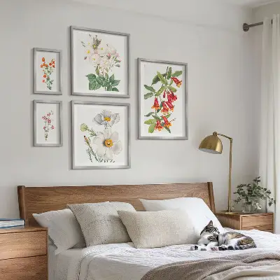 Ilustrații botanice florale set de tablouri poliptic înrămate