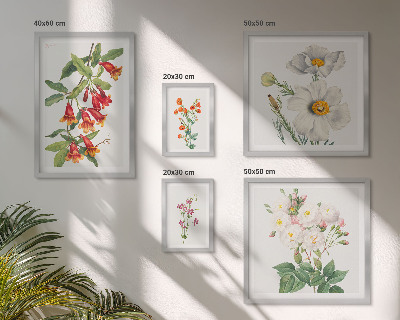 Polyptic înrămat Ilustrații botanice florale