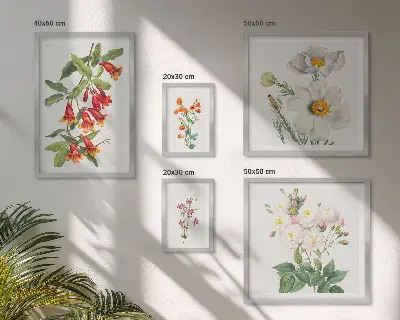 Ilustrații botanice florale set de tablouri poliptic înrămate