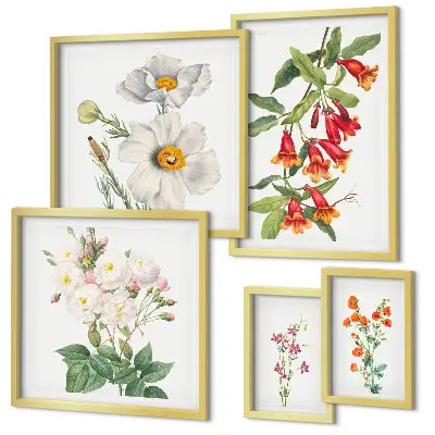 Ilustrații botanice florale set de tablouri poliptic înrămate