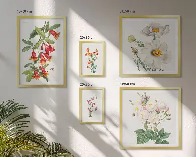 Ilustrații botanice florale set de tablouri poliptic înrămate