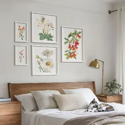 Ilustrații botanice florale set de tablouri poliptic înrămate