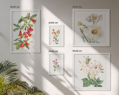 Polyptic înrămat Ilustrații botanice florale