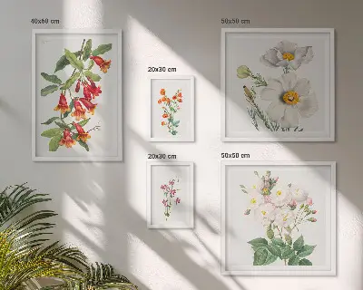 Ilustrații botanice florale set de tablouri poliptic înrămate