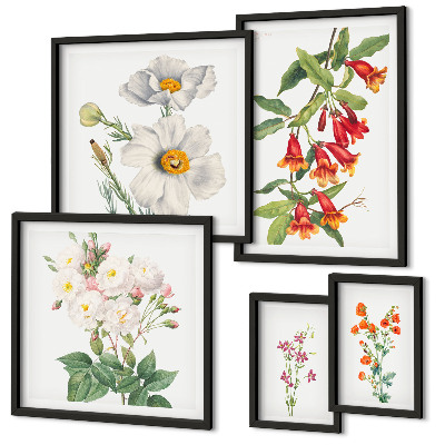 Polyptic înrămat Ilustrații botanice florale