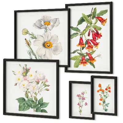 Ilustrații botanice florale set de tablouri poliptic înrămate