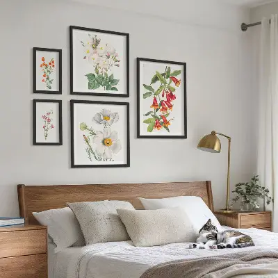 Ilustrații botanice florale set de tablouri poliptic înrămate