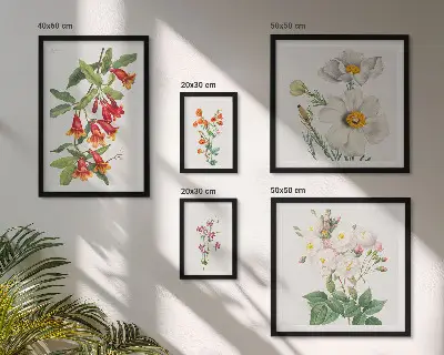 Ilustrații botanice florale set de tablouri poliptic înrămate
