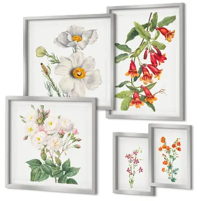 Ilustrații botanice florale set de tablouri poliptic înrămate