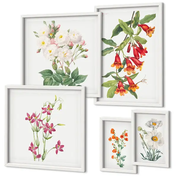 Set tablouri decorative pentru perete cu motive botanice florale