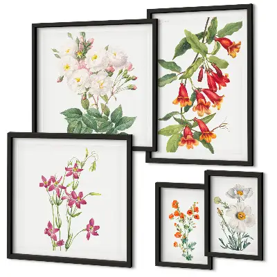 Set tablouri decorative pentru perete cu motive botanice florale