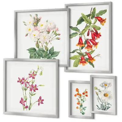 Set tablouri decorative pentru perete cu motive botanice florale