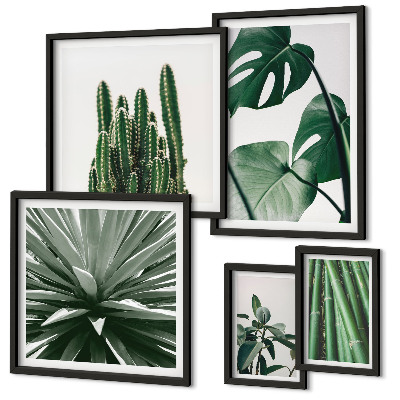 Decorațiune de perete set tablouri Plante tropicale verzi de interior