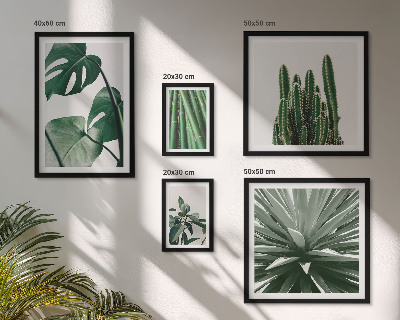 Decorațiune de perete set tablouri Plante tropicale verzi de interior