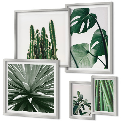 Decorațiune de perete set tablouri Plante tropicale verzi de interior