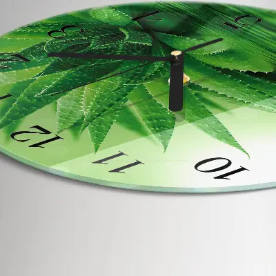 Ceas perete din sticlă rotund Aloe