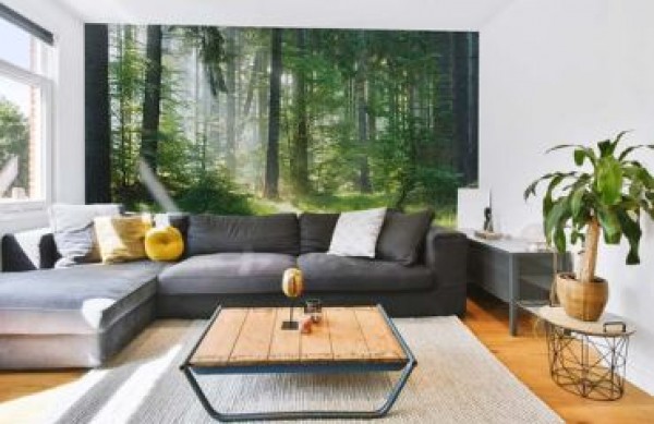 Fototapet pentru camera de zi - cum să alegeți motivul perfect și să creați un spațiu unic