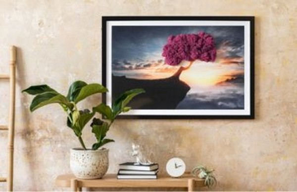 Tablouri cu mușchi - descoperirea frumusețeții naturii