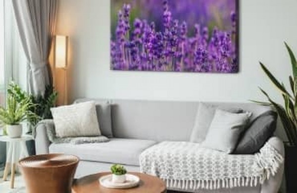 Amenajăm sufrageria în stil provensal! Inspirații și idei pentru interioare rustice